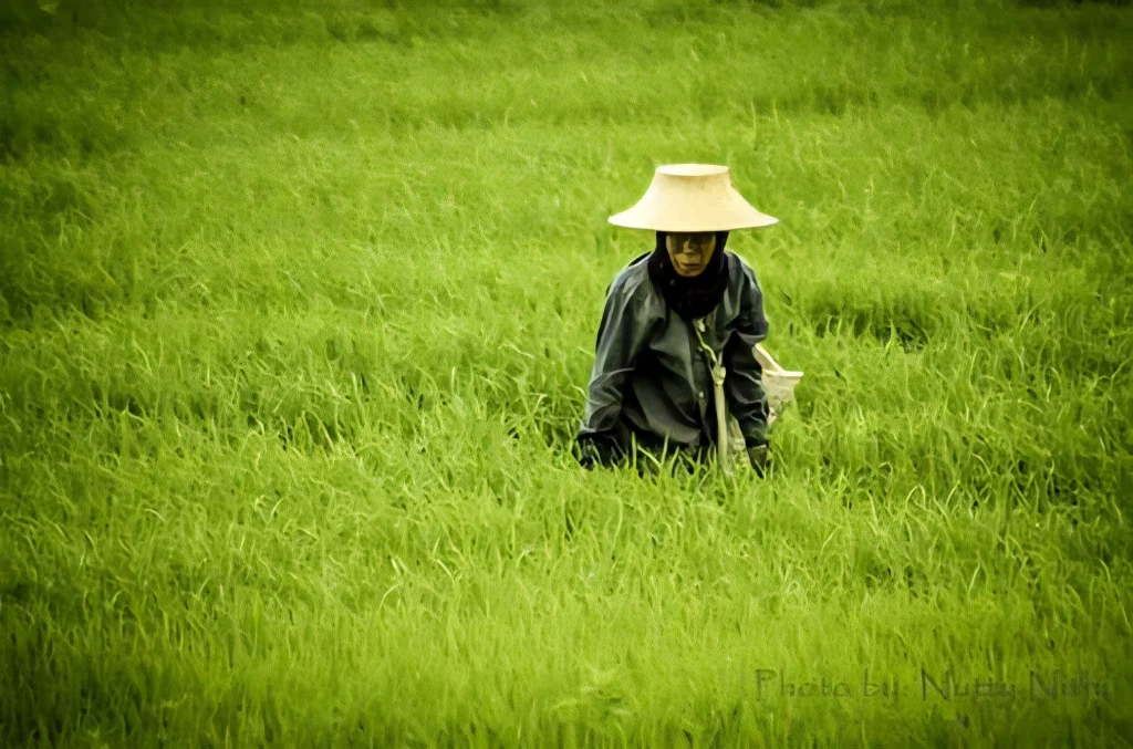 sustainable tourism thailand local farmer.webp