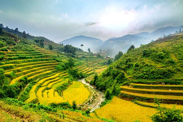 vietnam rice terraces trekking tour.webp