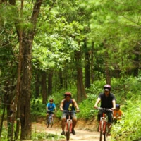 Chiang Mai Trekking and Biking 2 1 3 4