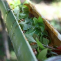 Karen Adventure Trekking 2 1 4 5