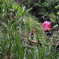 Three-day Tuk Tuk Adventure 2 1 7 5