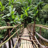 Three-day Tuk Tuk Adventure 2 1 7 8