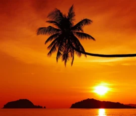 East Coast Community and Island Explorer 2 2 2 10