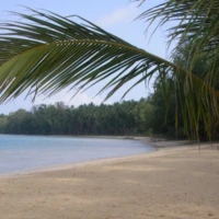 East Coast Community and Island Explorer 2 2 2 6