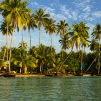 East Coast Community and Island Explorer 2 2 2 8