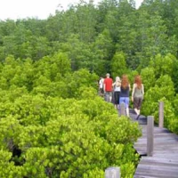 Fruit Orchard and Fishing Village 2 2 4 5