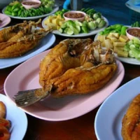 Fruit Orchard and Fishing Village 2 2 4 6