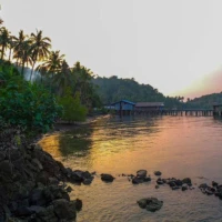 Fruit Orchard and Fishing Village 2 2 4 8