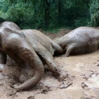 Kanchanaburi Adventure 2 2 5 4