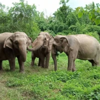 Kanchanaburi Adventure 2 2 5 5