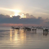 Phatthalung Southern Explorer 2 3 1 12