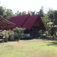 Phatthalung Southern Explorer 2 3 1 7