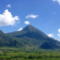 Nature and Culture in the South 2 3 4 11