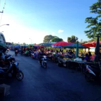 Nature and Culture in the South 2 3 4 13