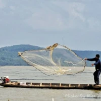 Nature and Culture in the South 2 3 4 2