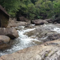 Nature and Culture in the South 2 3 4 3