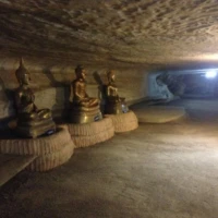 Nature and Culture in the South 2 3 4 6