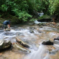 Andaman Community Explorer 2 3 5 10