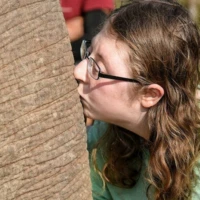 North to South for Blind 2 7 7