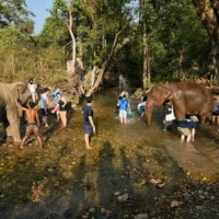 North to South for Blind 2 7 8