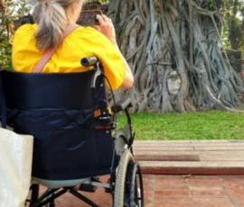 Bangkok and North for Wheelchair 2 8 3