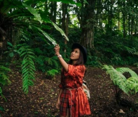 North Thailand Highlights jungle trekking chiang mai adventure