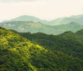 Immerse yourself in the breathtaking mountain landscapes of Isaan. Panoramic view of rolling green mountains in Khao Yai National Park