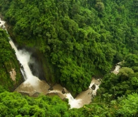 Explore pristine waterfalls tucked away in UNESCO-listed national parks. Aerial perspective of lush waterfalls flowing through Khao Yai rainforest