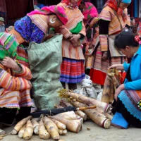 Support local communities while discovering Vietnam’s rich spiritual and cultural heritage. Local ethnic minority women in colorful traditional dress trading at a vibrant mountain market in Vietnam.