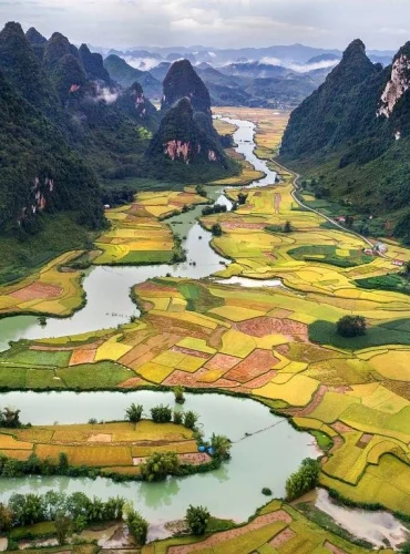 vietnam scenic river valley rice terraces.webp